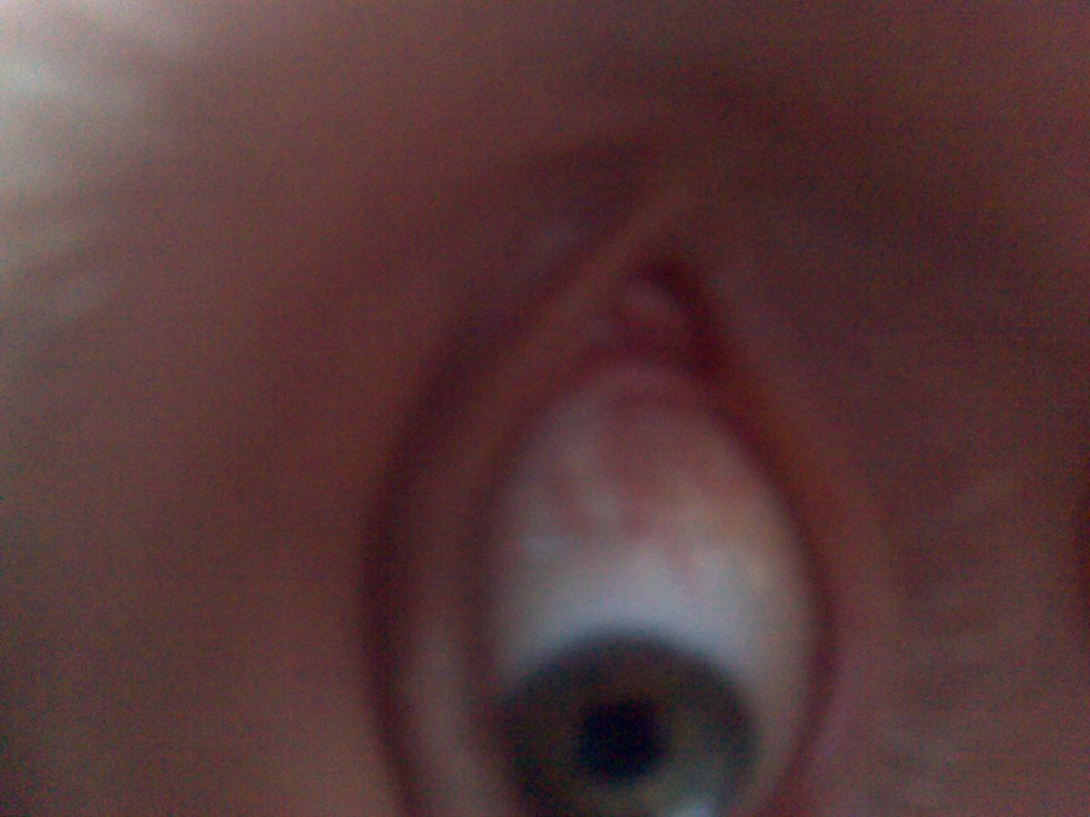 06062010006_1.jpg
