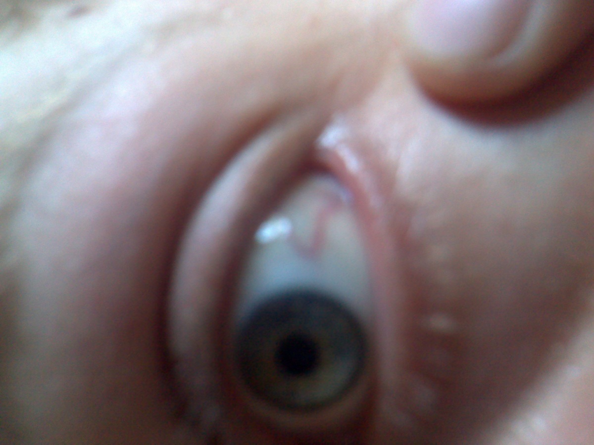 06062010007_1.jpg