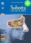 Sobotta. Атлас анатомии человека. Т.1