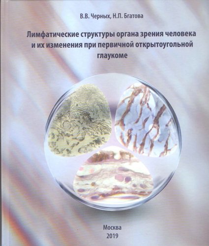 Лимфатические структуры органа зрения человека и их изменения при первичной открытоугольной глаукоме