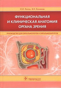 Функциональная и клиническая анатомия органа зрения