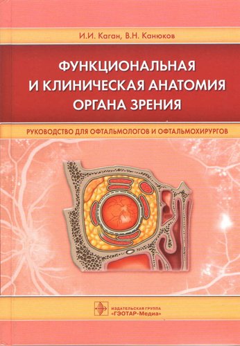 Функциональная и клиническая анатомия органа зрения