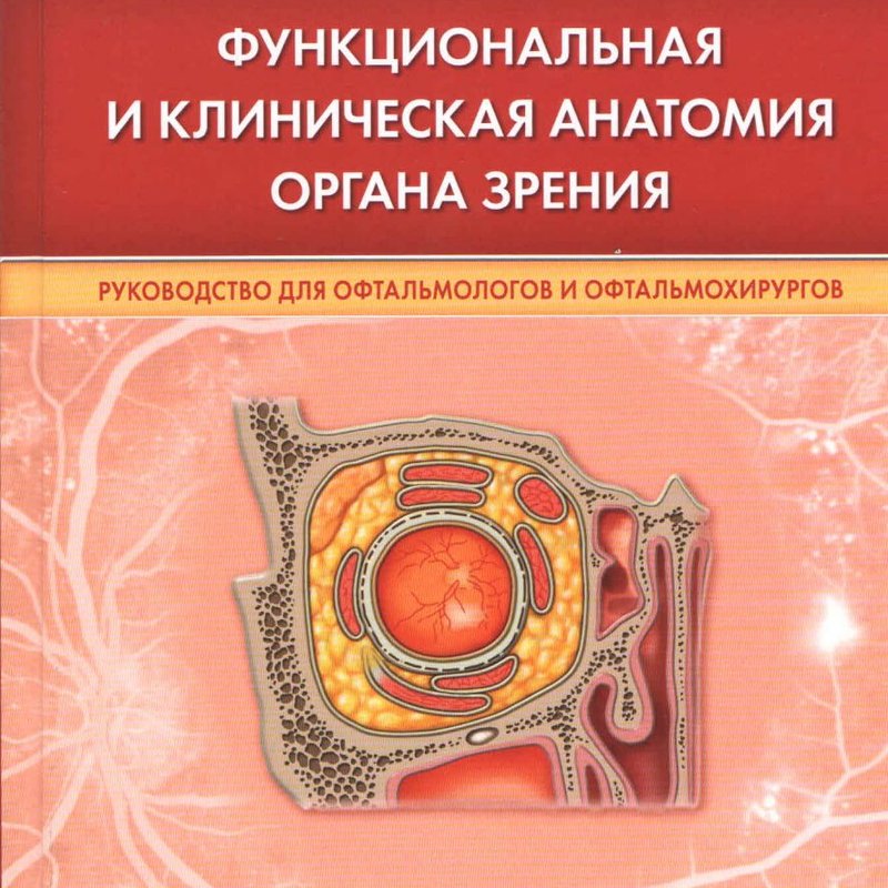 Функциональная и клиническая анатомия органа зрения