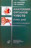 Анатомия органов чувств (глаз, ухо) в схемах и рисунках