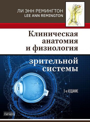 Клиническая анатомия и физиология зрительной системы