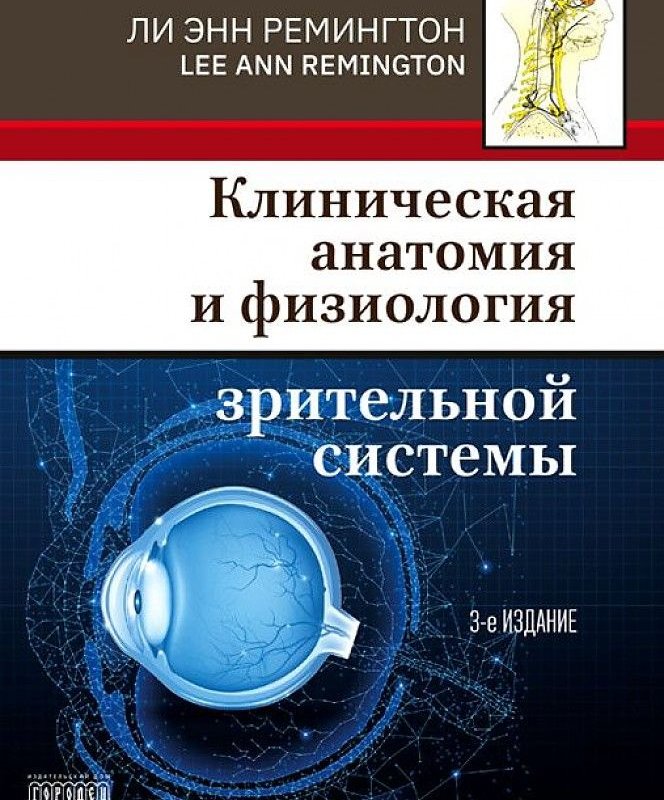 Клиническая анатомия и физиология зрительной системы