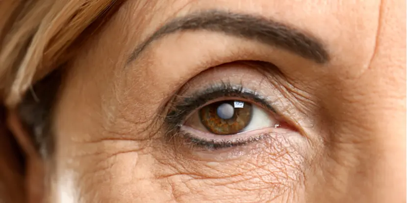 Тактика затягивания: офтальмолог — о злоупотреблениях страховой компании. Едва выстояв