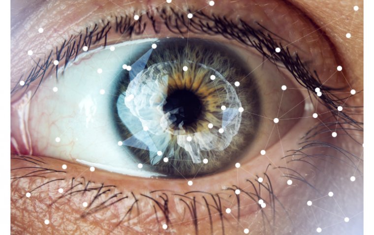 Пять принципов нейрофизиологии зрительного восприятия: как мозг интерпретирует визуальные данные