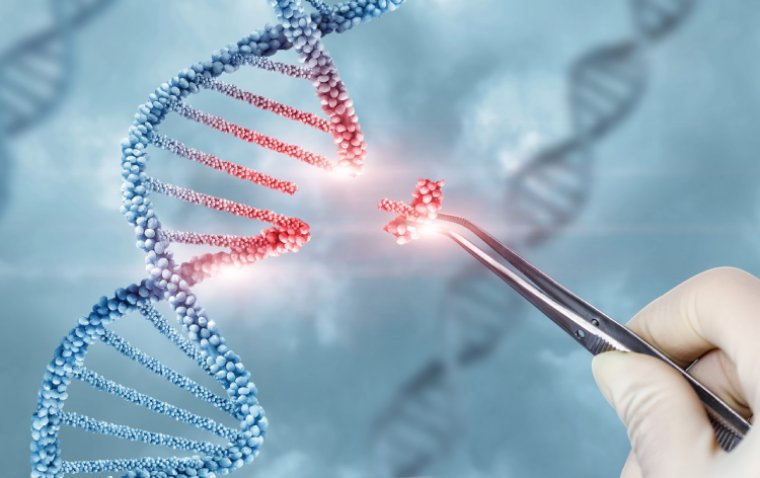 Двенадцать ведущих генных терапий наследственных и дегенеративных заболеваний глаз: обзор 2023 года
