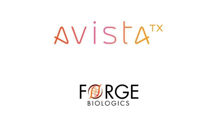 Партнерство компаний Avista Therapeutics и Forge Biologics направлено на ускорение разработки генной терапии для лечения X-связанной ретиношизиса