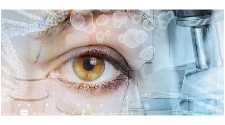 Проблемы офтальмологического сообщества: барьеры компенсации, дефицит кадров и упадок частной практики