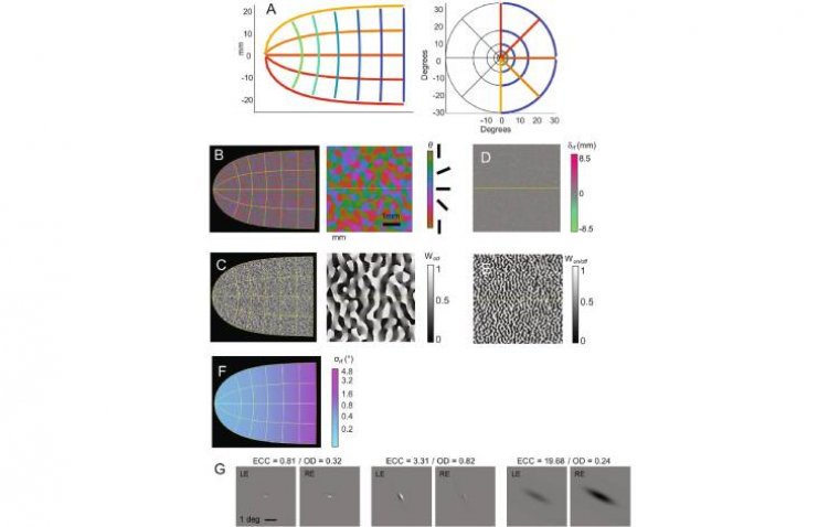 Имплант Blindsight Илона Маска встретил скептицизм со стороны исследователей Вашингтонского университета