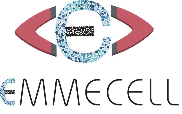 Терапия EO2002 компании Emmecell: неинвазивное решение коррекции отека роговицы по результатам фазы 1