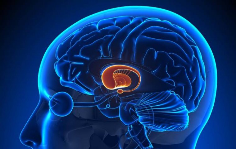 Офтальмологический метод выявил связь толщины сетчатки с нейродегенерацией при болезни Паркинсона