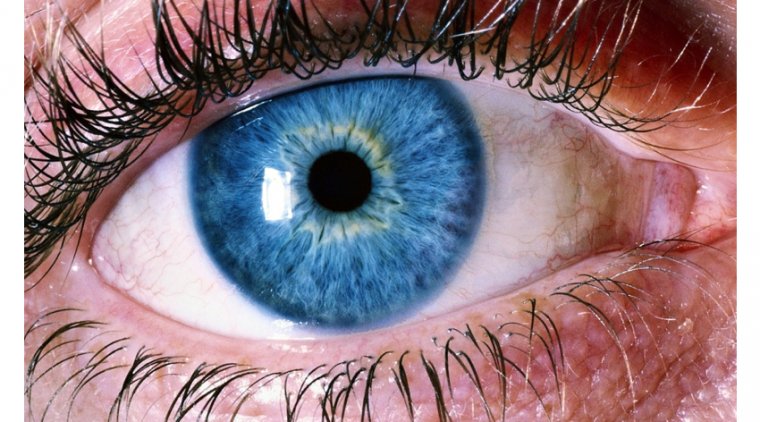 Сетчатка глаза может раскрыть ранние признаки болезни Альцгеймера