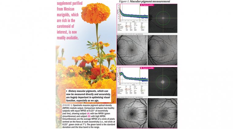 Улучшение зрения с помощью биодобавки на основе мексиканских бархатцев