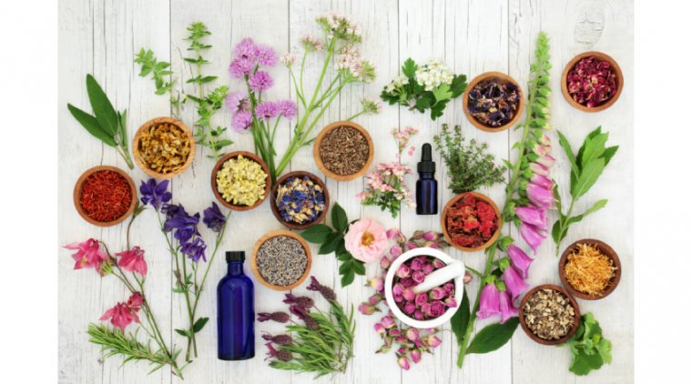 Опрос LinkedIn: 58% офтальмологов интегрируют альтернативные методы в терапию глазных заболеваний