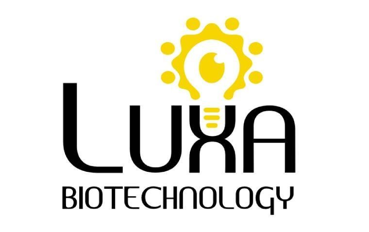Ранние клинические результаты терапии Luxa Biotechnology при сухой возрастной макулярной дегенерации