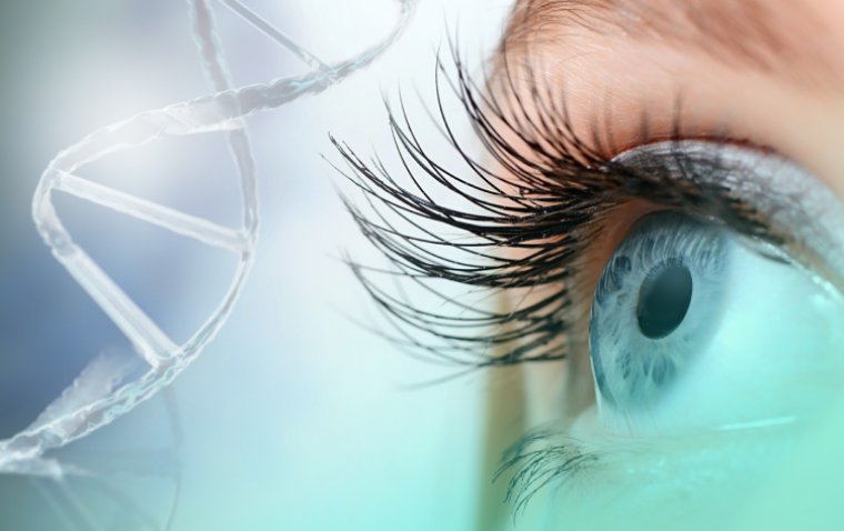 Компания Neurophth Therapeutics завершила набор пациентов в клиническое исследование генной терапии наследственной оптической нейропатии Лебера