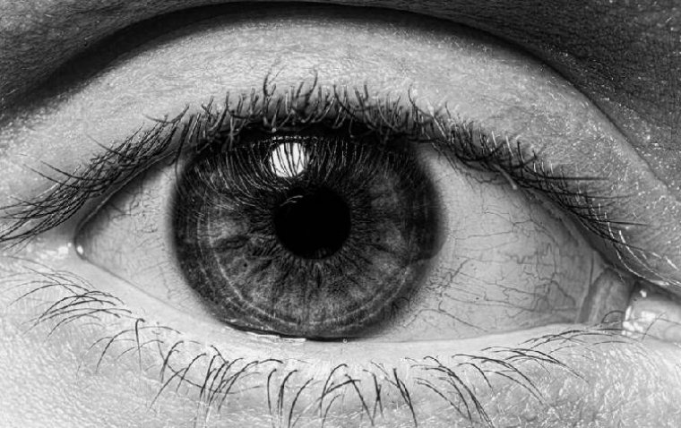 Новые данные о механизмах метастазирования увеальной меланомы: роль гена BAP1