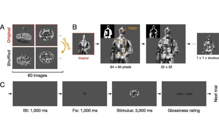 Блеск в глазах: зрачок сужается при взгляде на глянцевые объекты