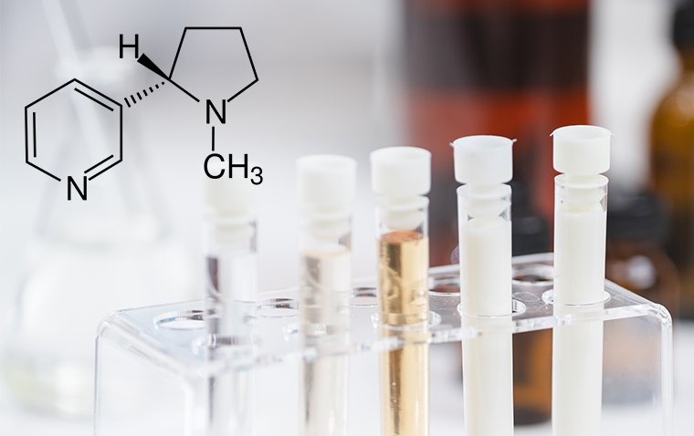 Влияние никотина на прогрессирование миопии: данные доклинических исследований