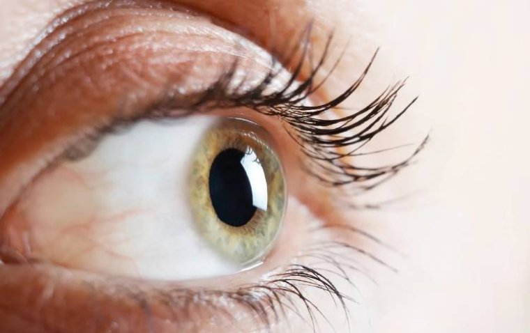 Разработанный при поддержке NIH искусственный интеллект ускорил визуализацию сетчатки в 100 раз