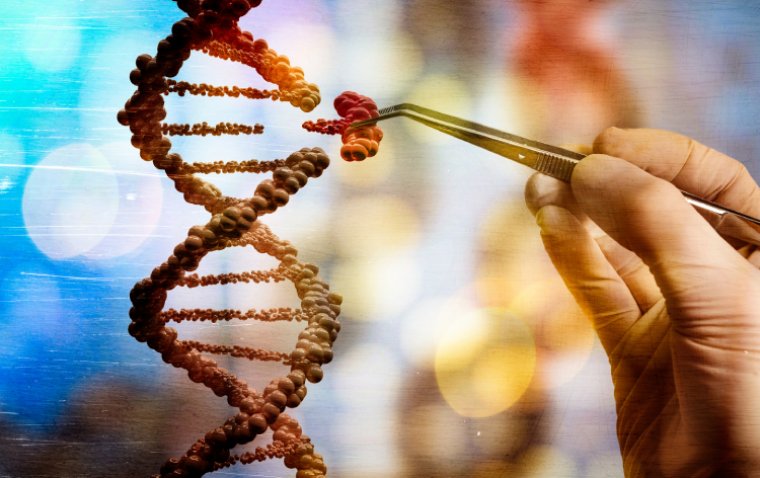 Первый случай терапевтического прайм-редактирования в глазу живого организма: прорыв в доставке генетических инструментов