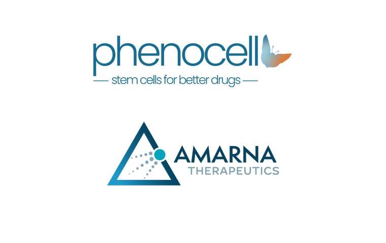 Phenocell и Amarna Therapeutics получили грант Eurostars на разработку платформы генной терапии сухой возрастной макулярной дегенерации
