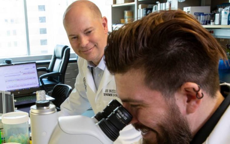 Гранты Национальных институтов здоровья США направлены на восстановление зрения