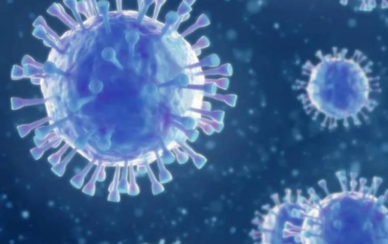 SARS-CoV-2 способен преодолевать гематоретинальный барьер: результаты исследования Университета Миссури