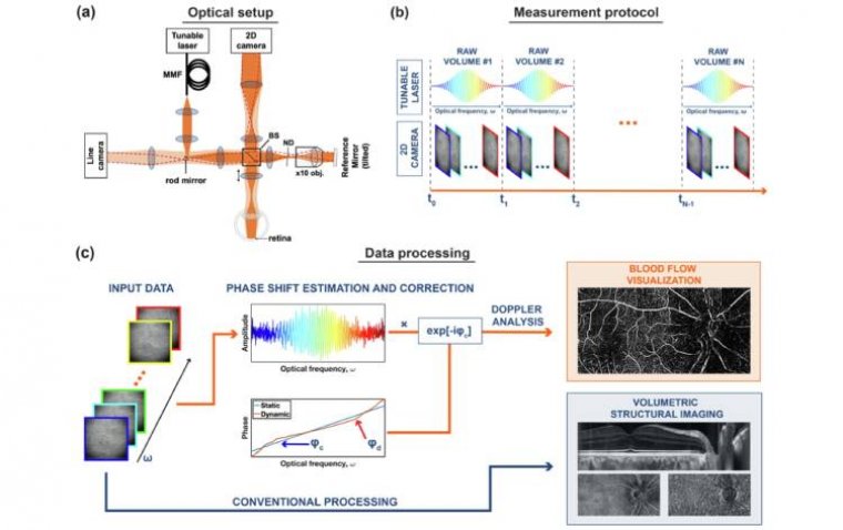 Многоспектральная лазерная допплеровская голография: новый метод неинвазивного мониторинга микроциркуляции глаза
