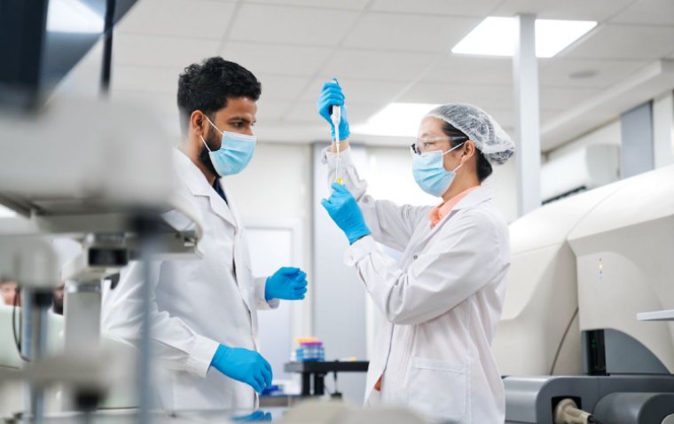 Водорослевый гидрогель: новая опция в хирургии отслойки сетчатки