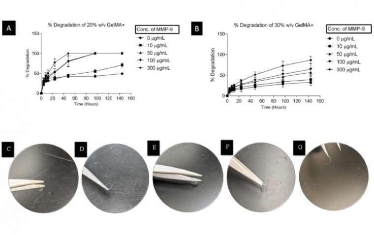 Разработаны контактные линзы с ферментативной активацией для ускоренного заживления роговицы