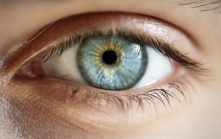 Обзор распространенных офтальмологических заболеваний: этиология, клиническая картина и подходы к терапии