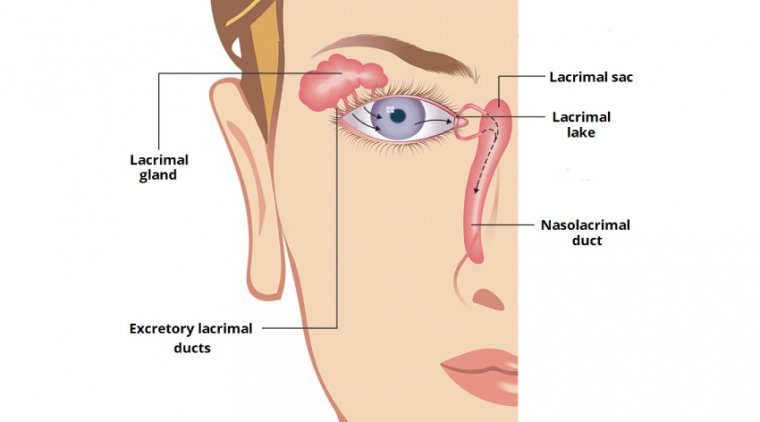 Лечение патологии слезного озера: обзор методов