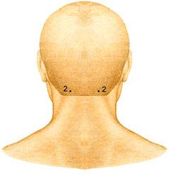 Самомассаж биологически активных точек (БАТ) при зрительном утомлении